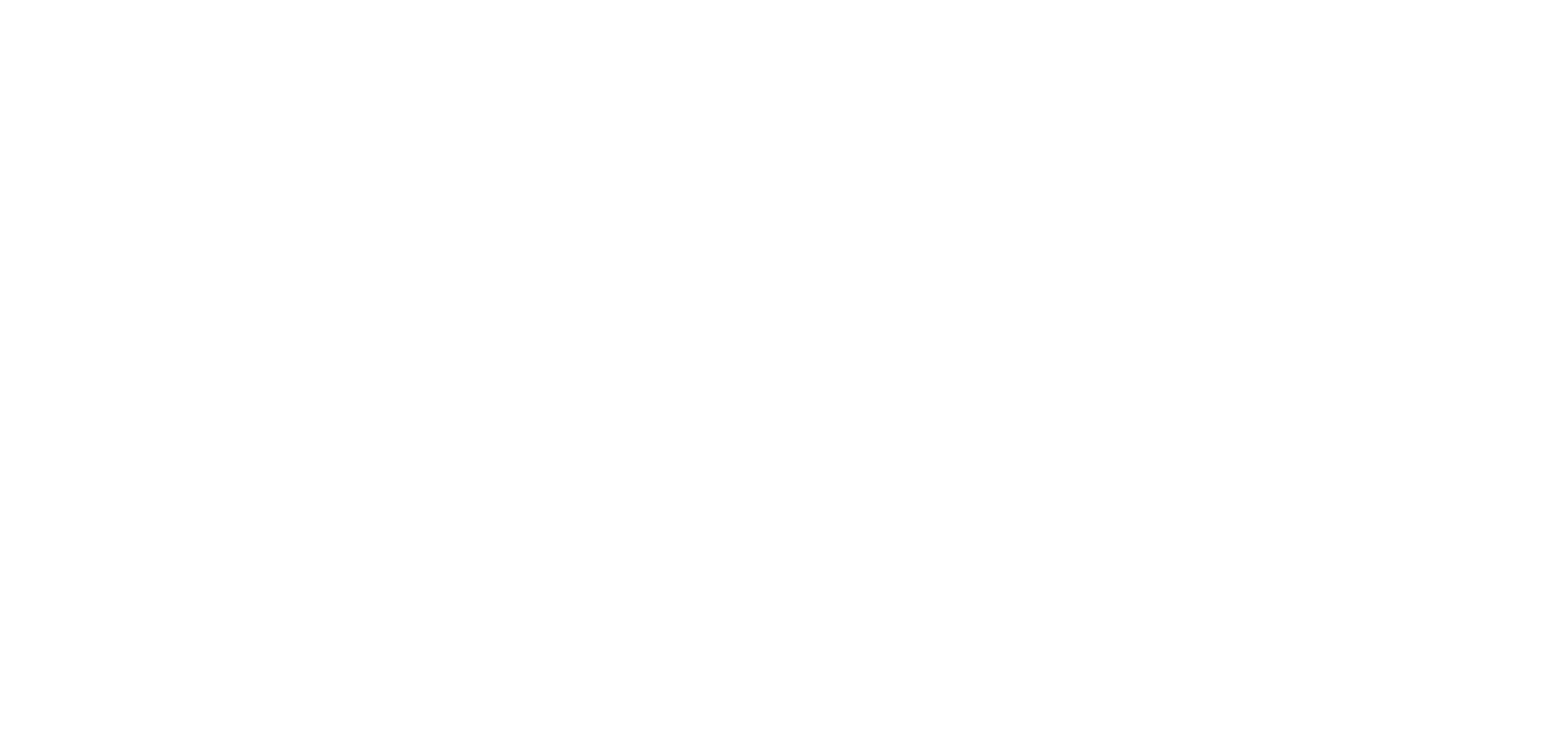 Anees Logo